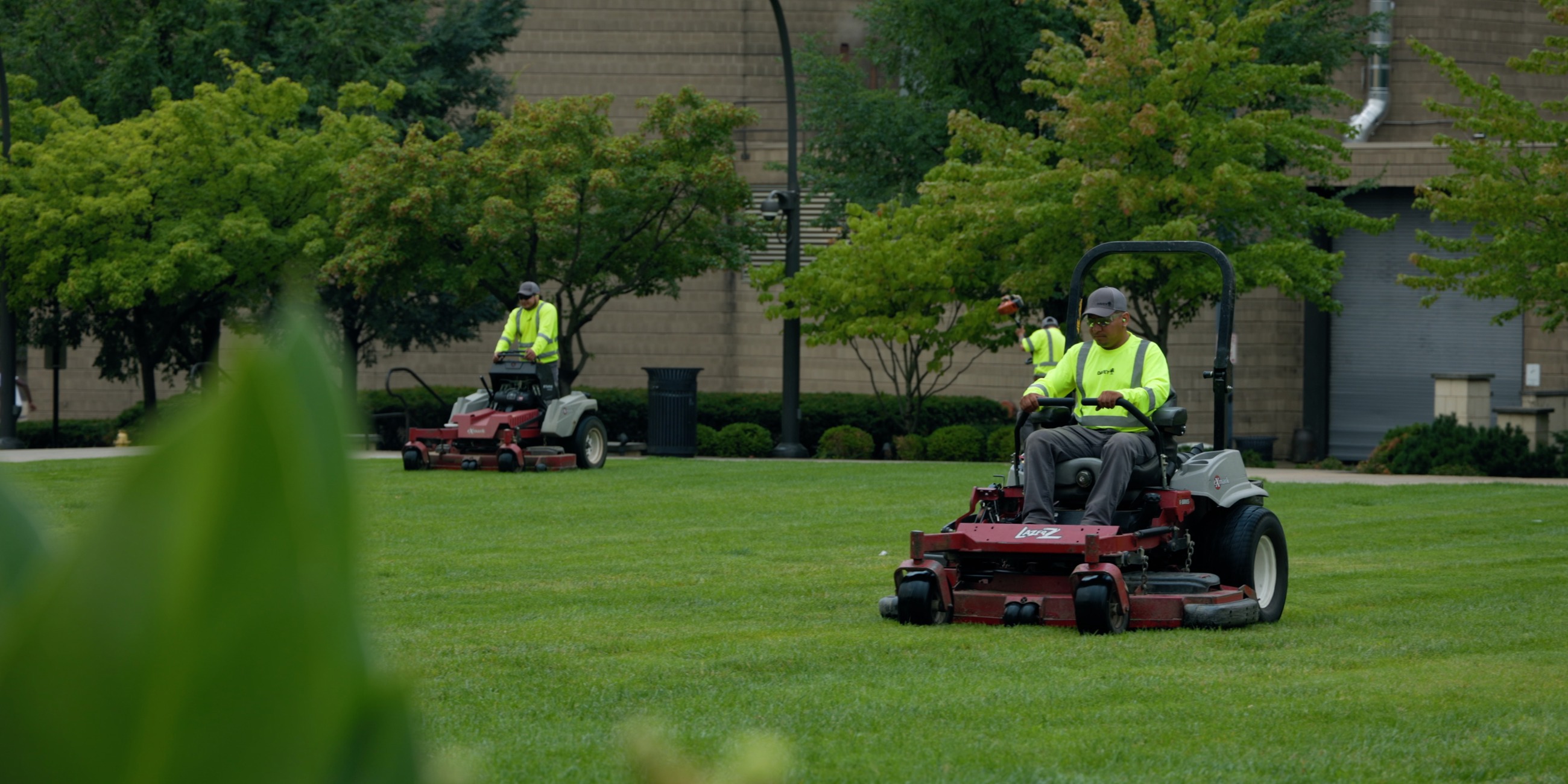 commercial lawn care