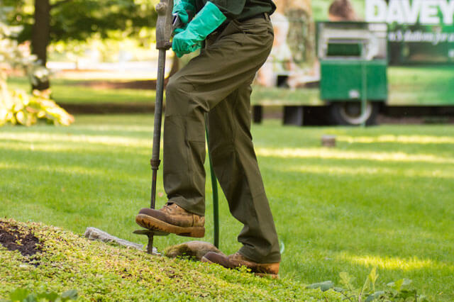 Alt Plant Health Care 640X426 (1)