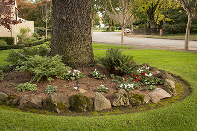 Landscaping Around Trees With Rock